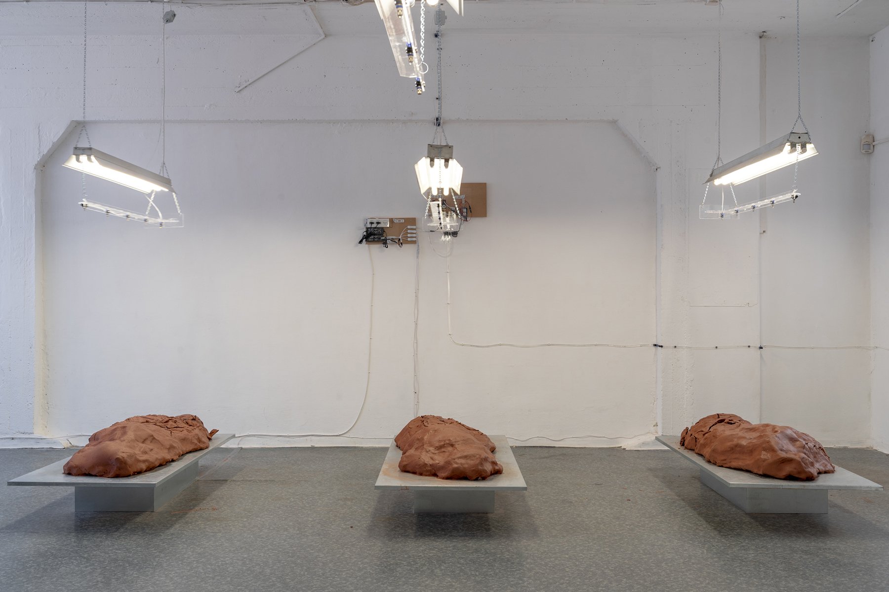 Cycle of Higher Exchange, 2021, Photography: Daniel Hanoch