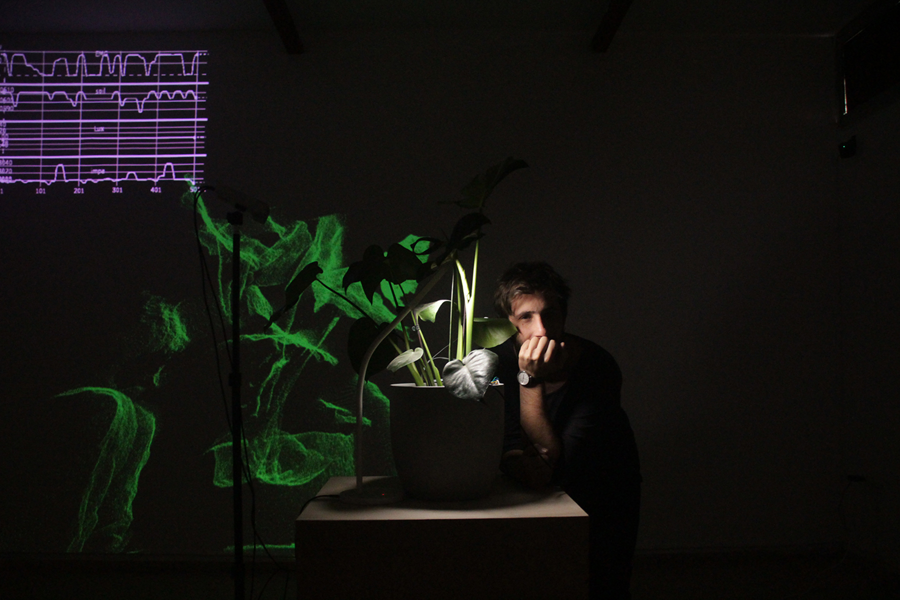 עדן עפר, Perach - Space_A gallery
