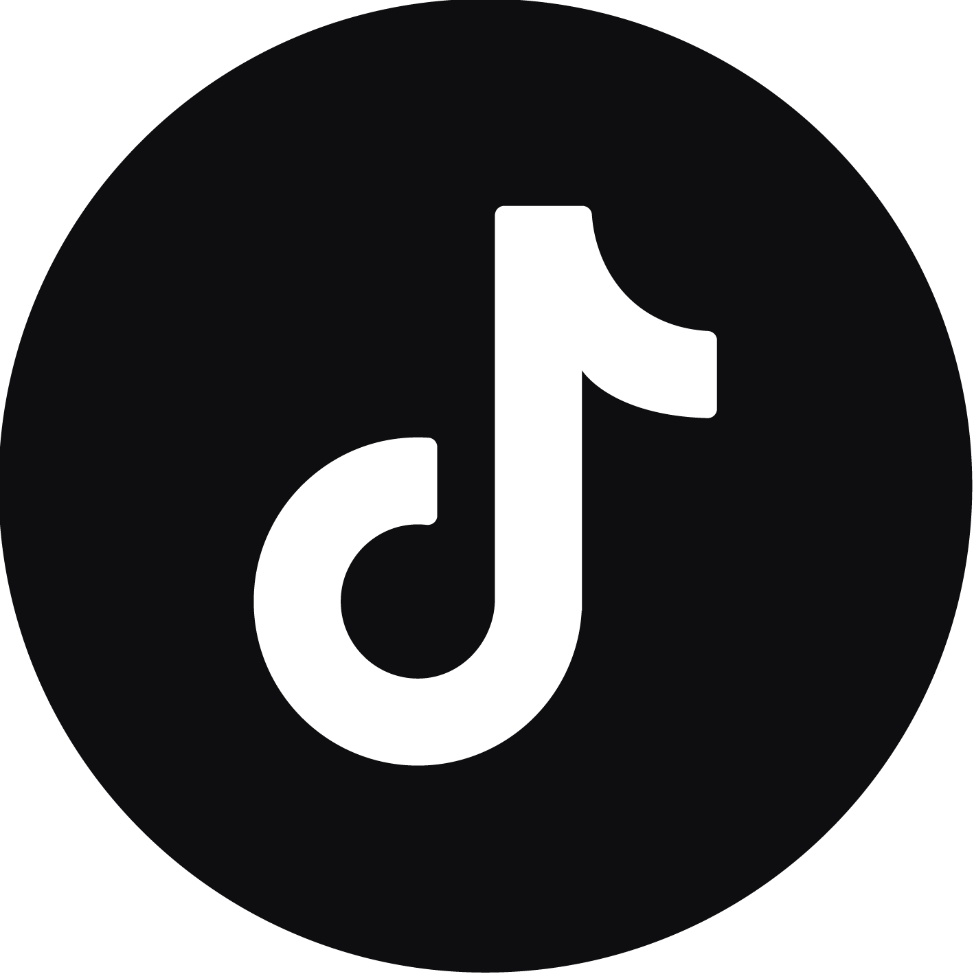 tiktok12-12 