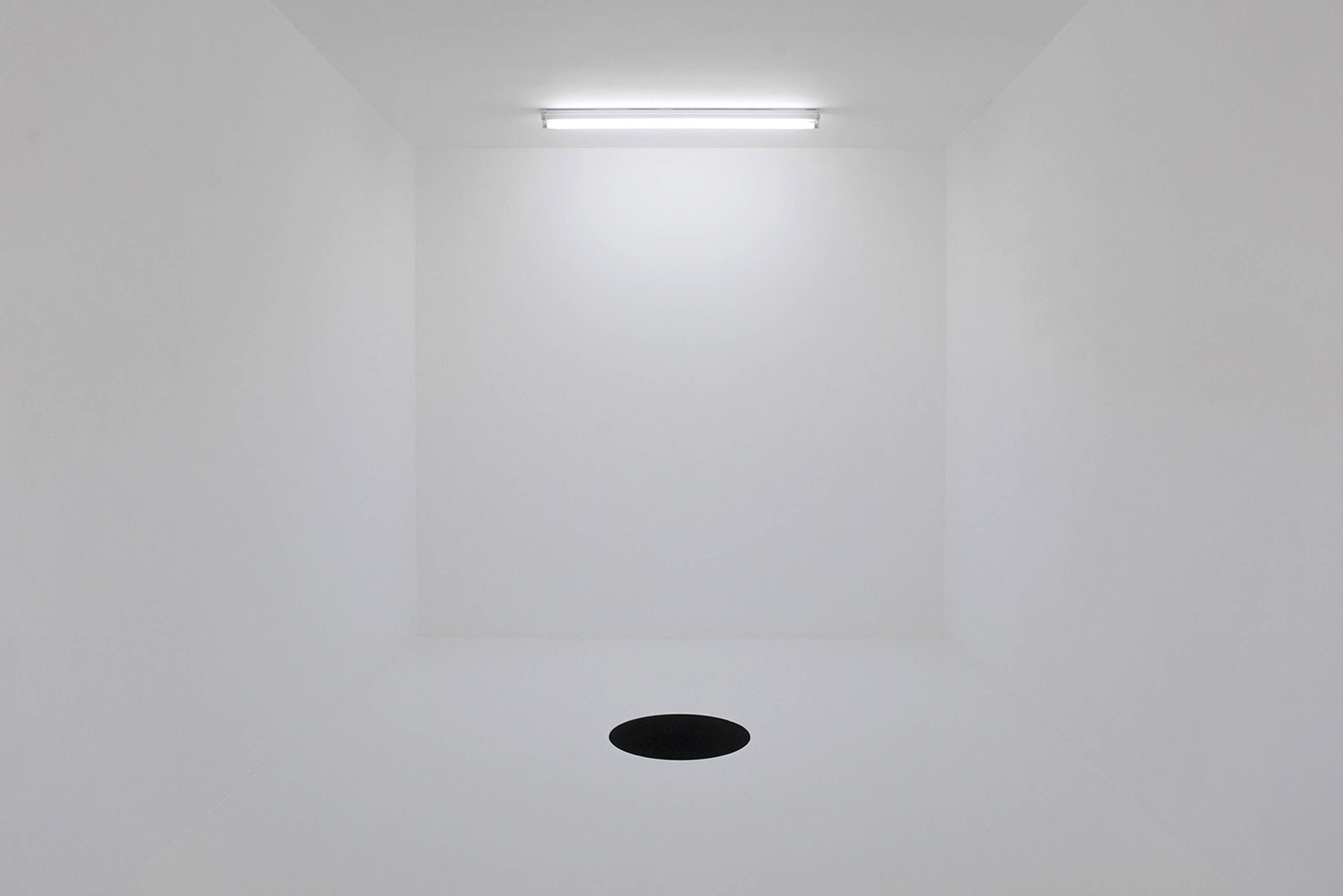 'נצחון השמש העולה', דניאלה מרוז, 2019