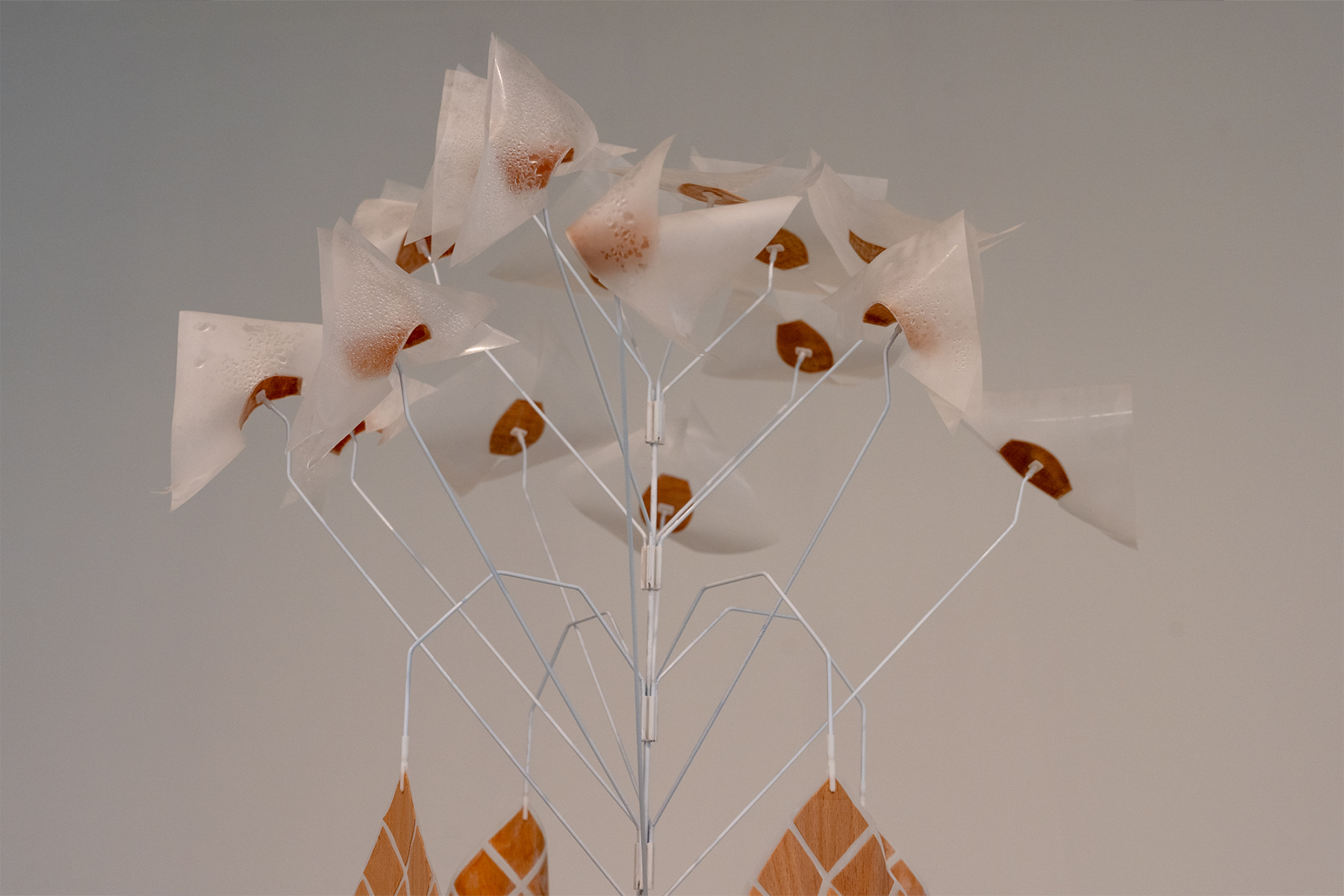 Ran Peled, STILL, Final project, About Design Track, the Master's Program in Industrial Design, 2024. Photo: Yair Golomb