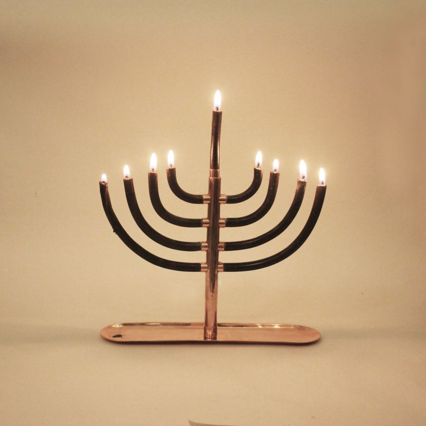במקום הראשון זכתה החנוכייה של יסמין סנדרו בראון ויגל תירם