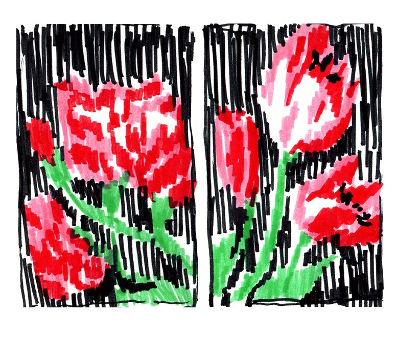 איור בטושים, פרחים אדומים, גבעולים ירוקים על רקע שחור
