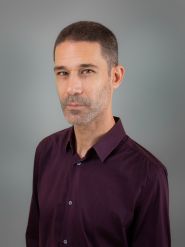 שאול סתר