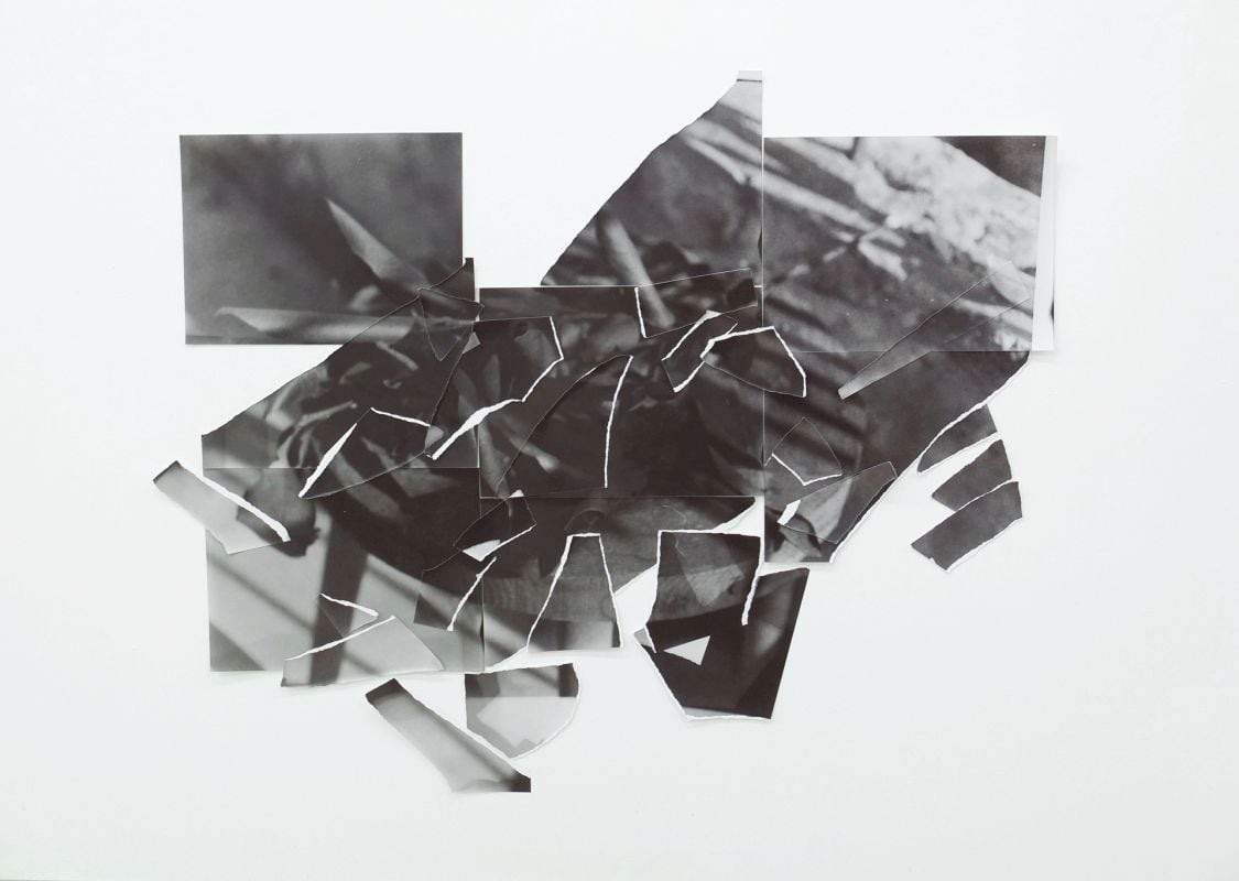 Tamar Lewinsohn Fractures, 2017, Photogram, Gelatin silver print