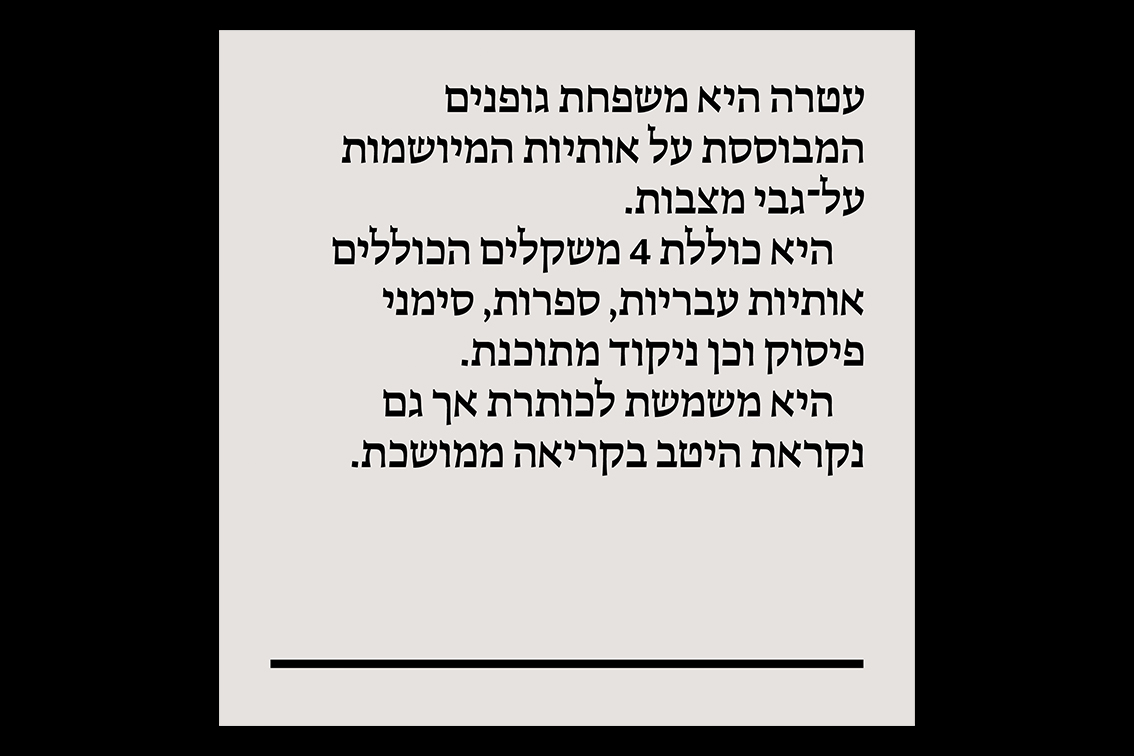צילום ההצבה בחלל התערוכה