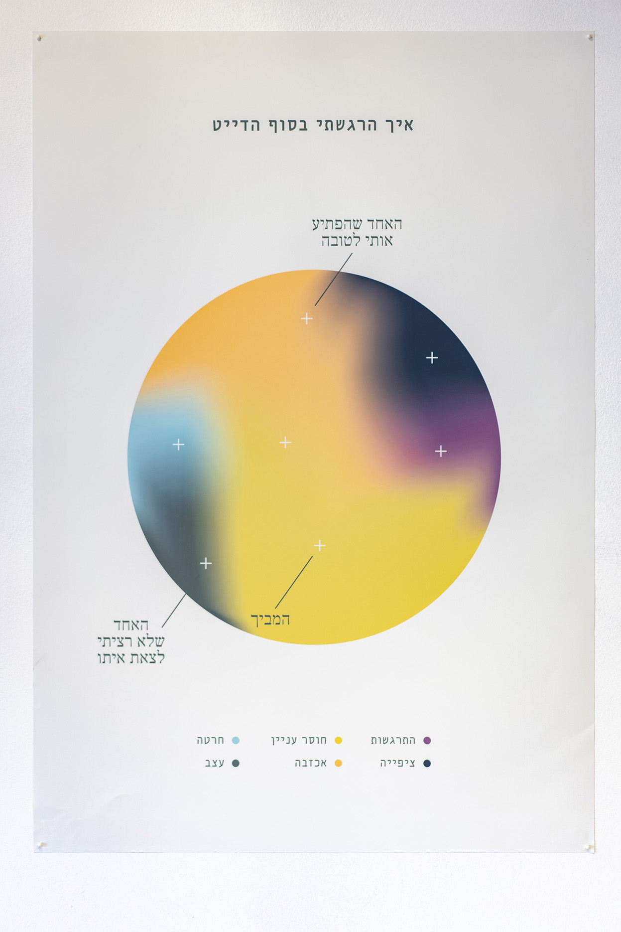 צילום ההצבה בחלל התערוכה