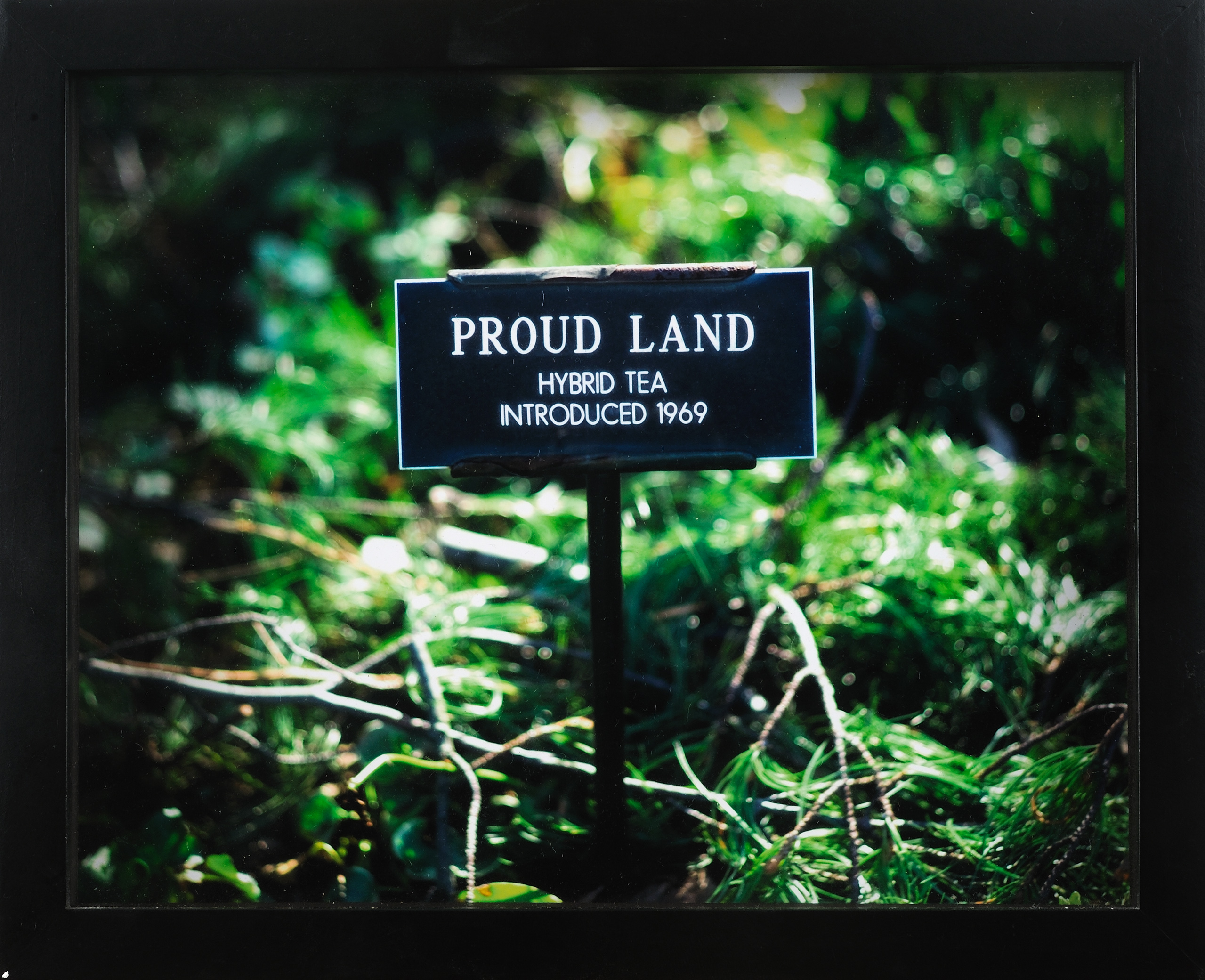 מקום, אדמה, שטח Place, Space, Land, Territory