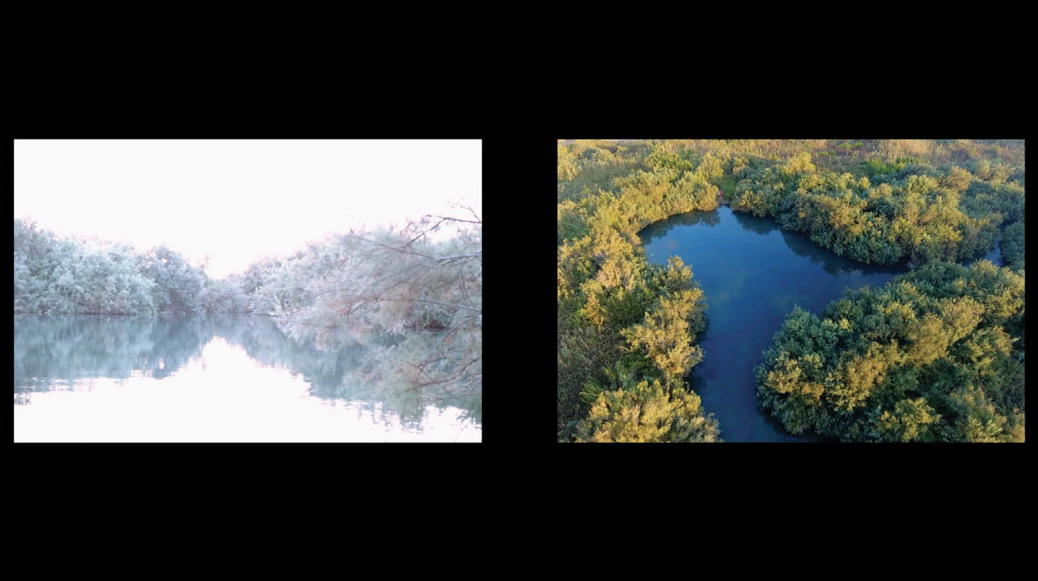 מקום, אדמה, שטח Place, Space, Land, Territory