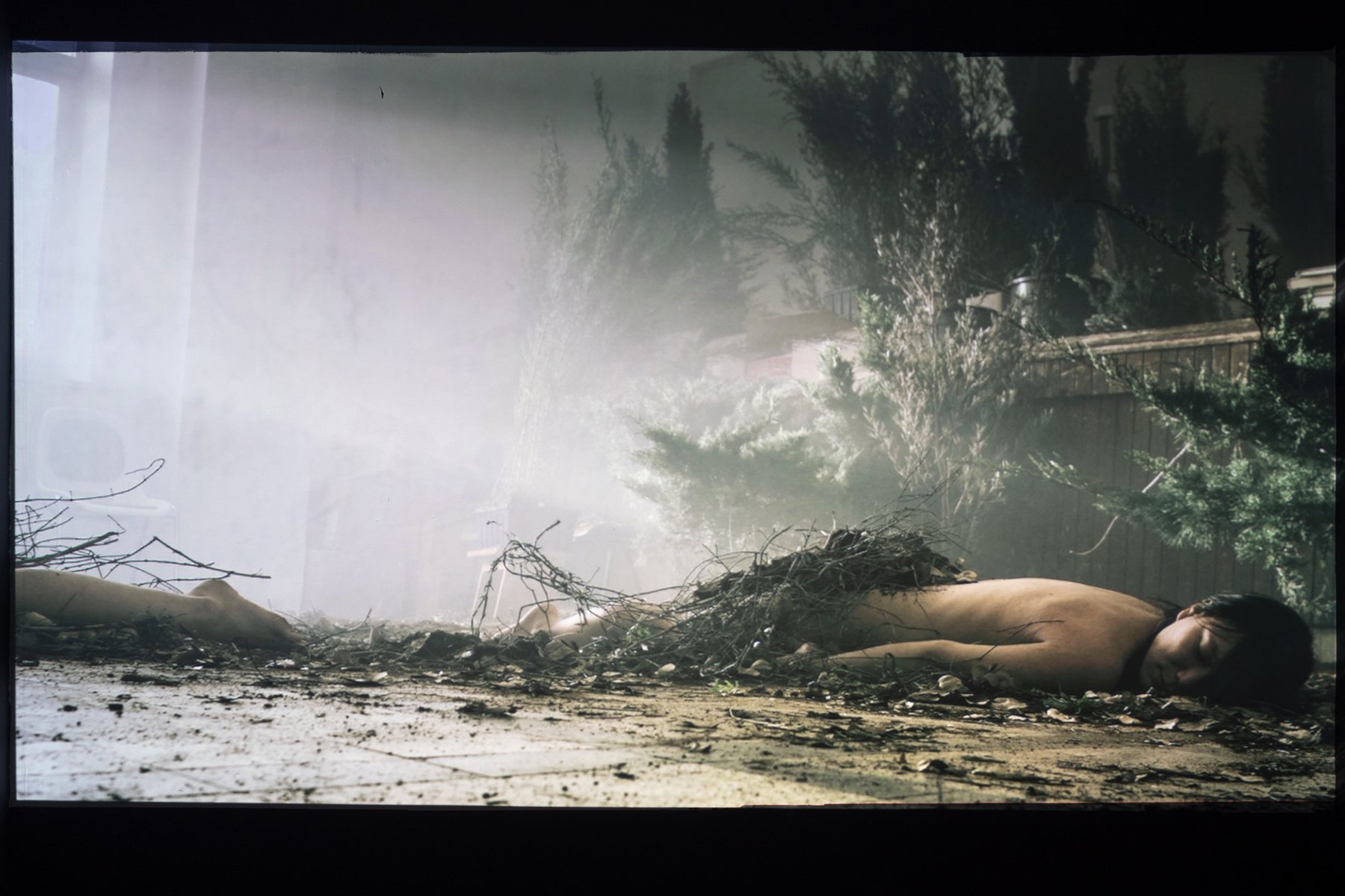 The Tree withthe Softest HEart, A Smal Tragedy, Tamar Oosterhof, 2021 Photo: Danie Hanoch