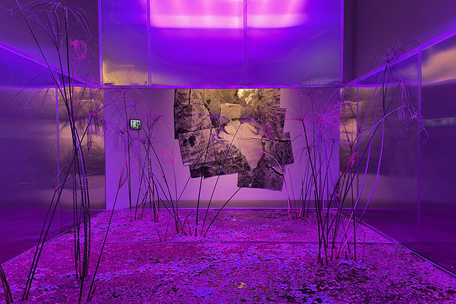 From the exhibition "Land.Milk.Honey", the Israeli Pavilion at the 17th Architecture Biennale, Venice. (Curators: Dan Hasson, Idגo Ginat, Rachel Gottesman, Yonatan Cohen, Tamar Novick). Photo: Iddo Ginat.