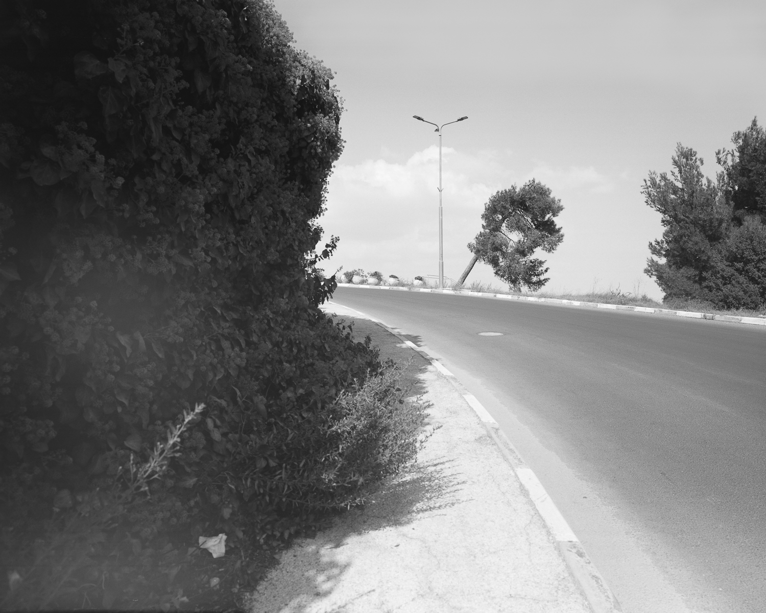 ענבר זק