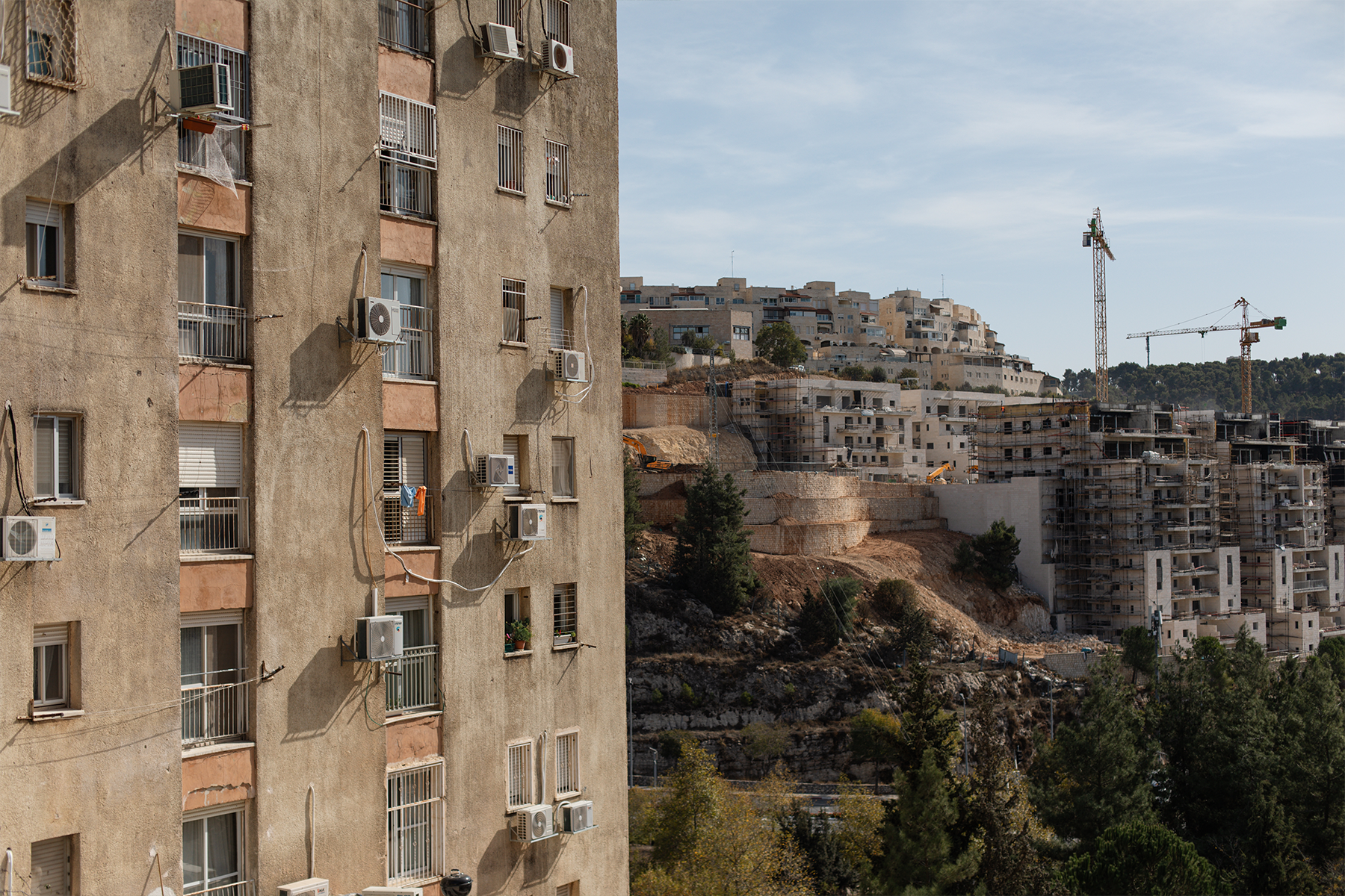 נטליה (נטי) וולקוב- קריית היובל