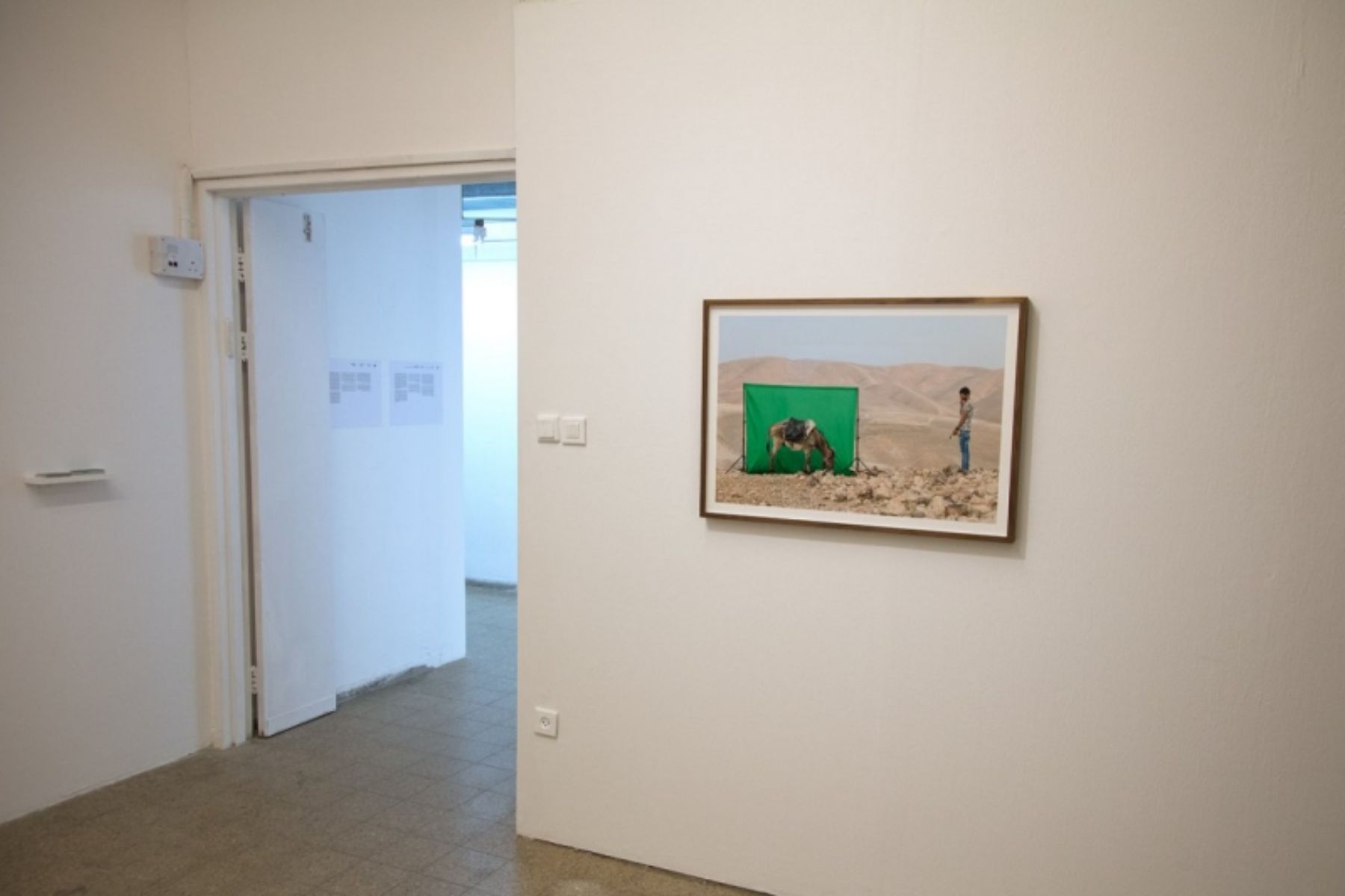 רונן זן, ׳החאן הירוק׳ (צילום: רתם רוזמן)