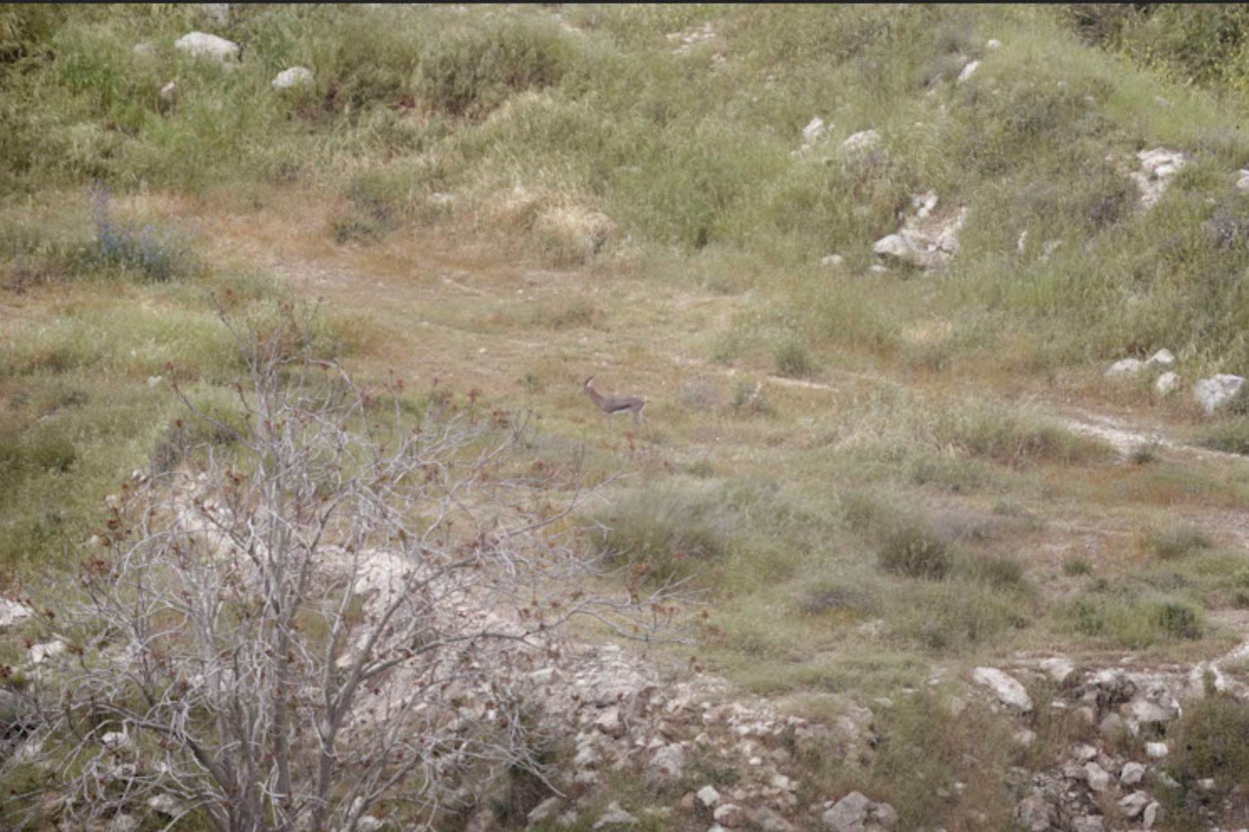 רוואן ג'ולאני, ׳שינויים במרחקים׳, פרויקט גמר, המחלקה לצילום, 2024