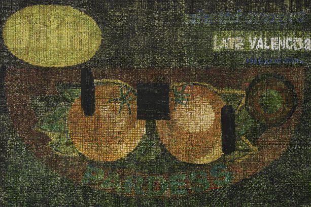 נָעֳמִי סִימָן-טוֹב, מתוך התערוכה ׳לַשְּׁכֵנָה שֶׁלִּי קוֹרְאִים פָלַסְטִין׳