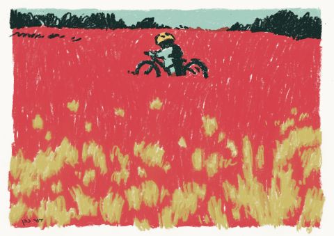 איור של דמות רוכבת על אופניים בשדה כלניות, דור כהן