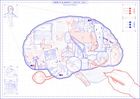 שרטוט אדריכלי מתוך פרויקט הגמר של תמר עופר, קו מתאר של מוח האדם
