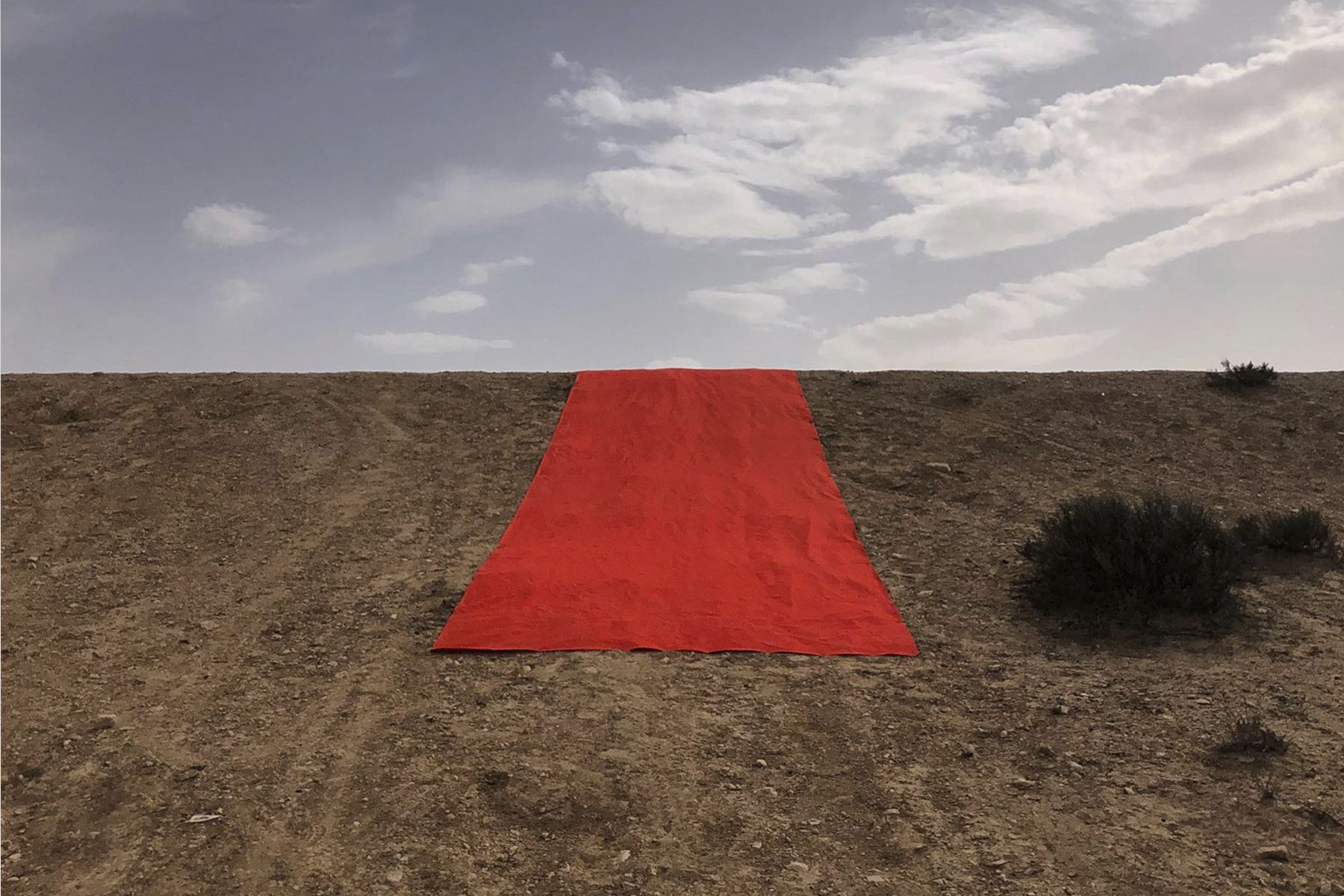 רונן זין, שטיח אדום, 2021, מראה הצבה