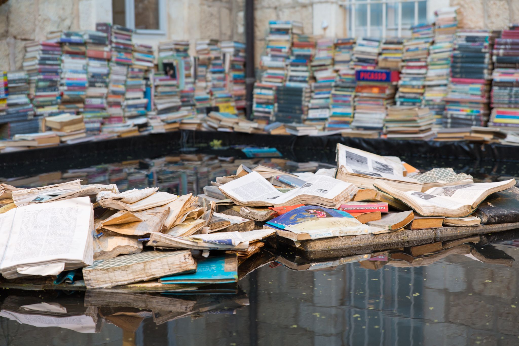 התערוכה גומלי דטה – משק אוטרקי בבית הנסן, פרויקט גמר באוצרות  'מים בתוך ספרים, ספרים בתוך מים',  אביטל גבע 2017