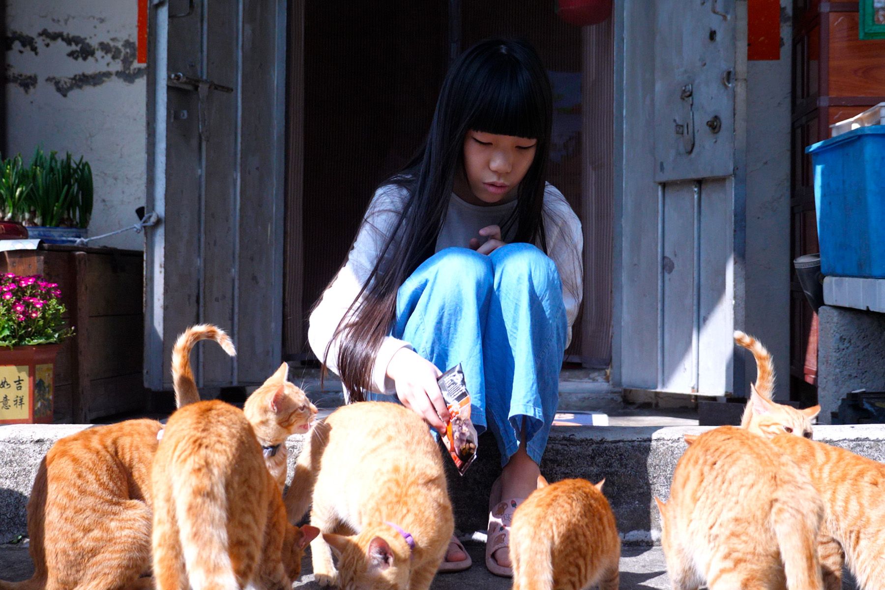 נערה מאכילה חתולים