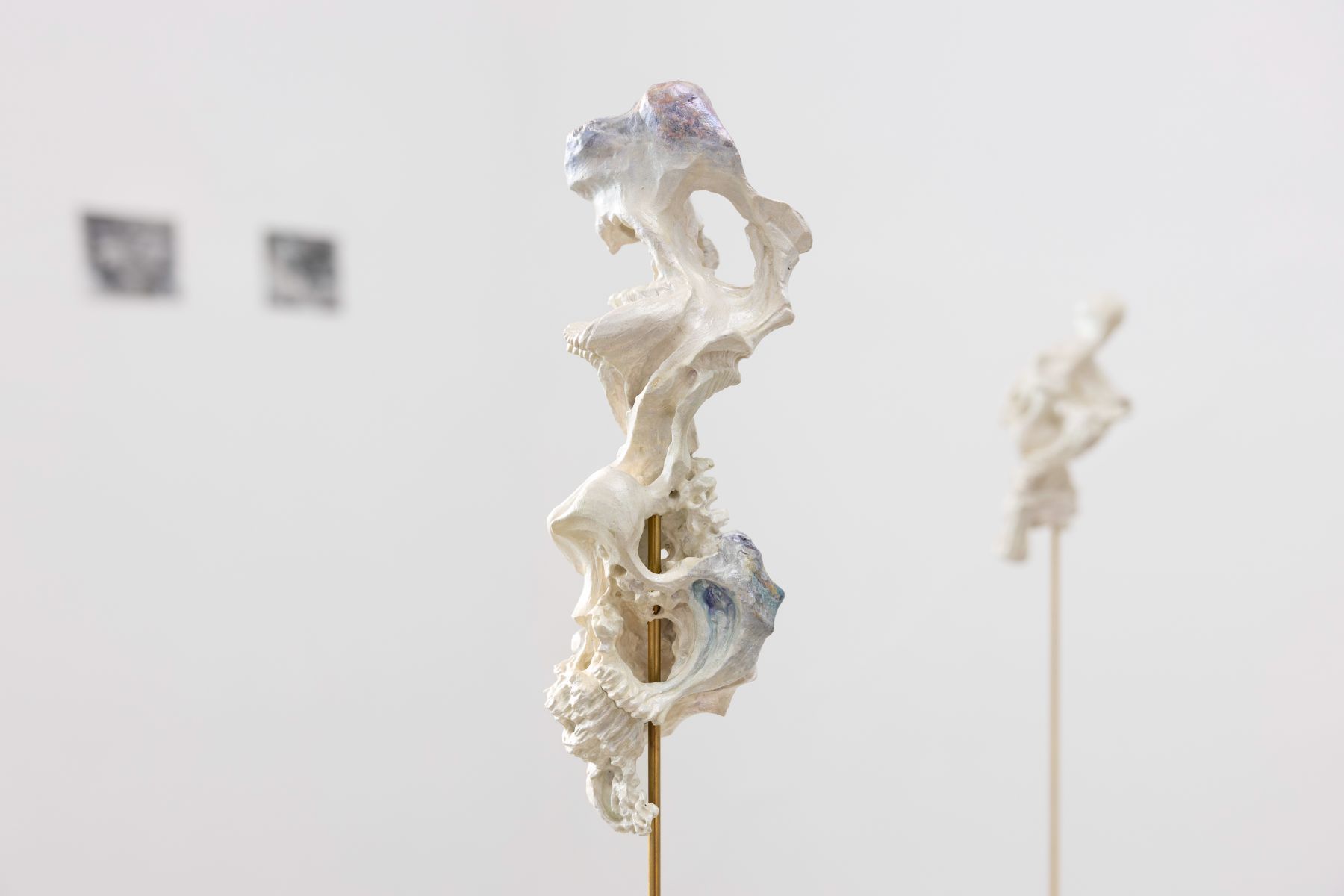 Lowy Ohad, final project, 2025