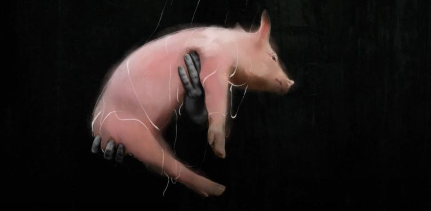 איור של יד מחזיקה חזיר