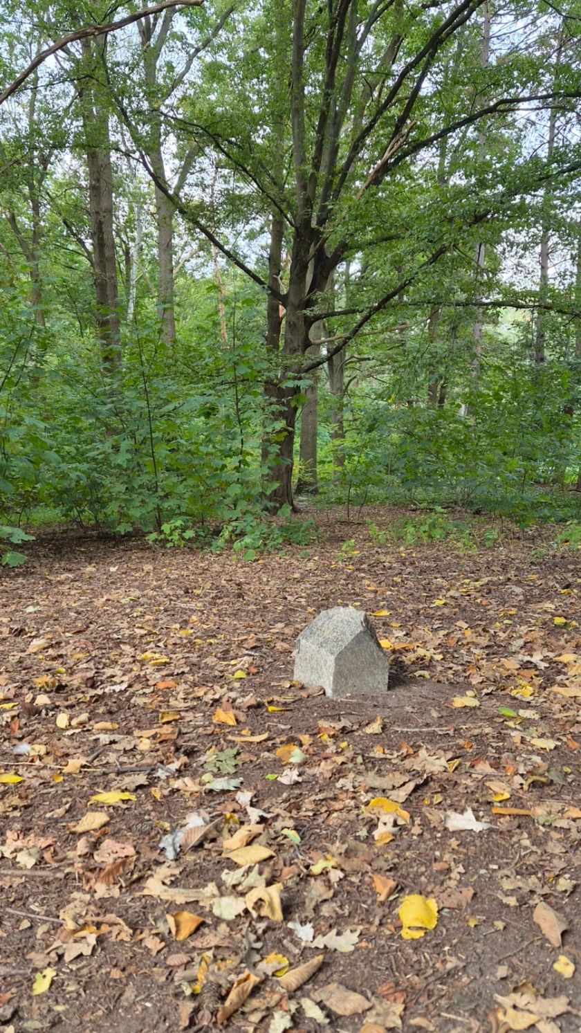 אבן, Tiergarten, ברלין. צילום: תהלה שמש.